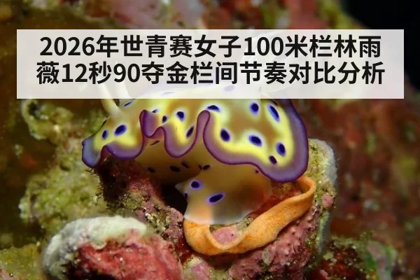 2026年世青赛女子100米栏林雨薇12秒90夺金栏间节奏对比分析