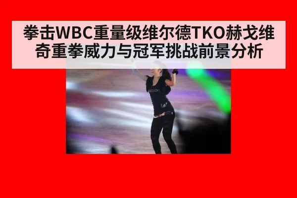 拳击WBC重量级维尔德TKO赫戈维奇重拳威力与冠军挑战前景分析