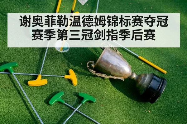 谢奥菲勒温德姆锦标赛夺冠 赛季第三冠剑指季后赛