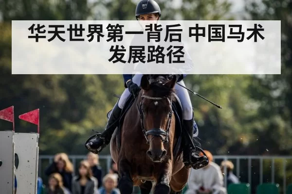 华天世界第一背后 中国马术发展路径